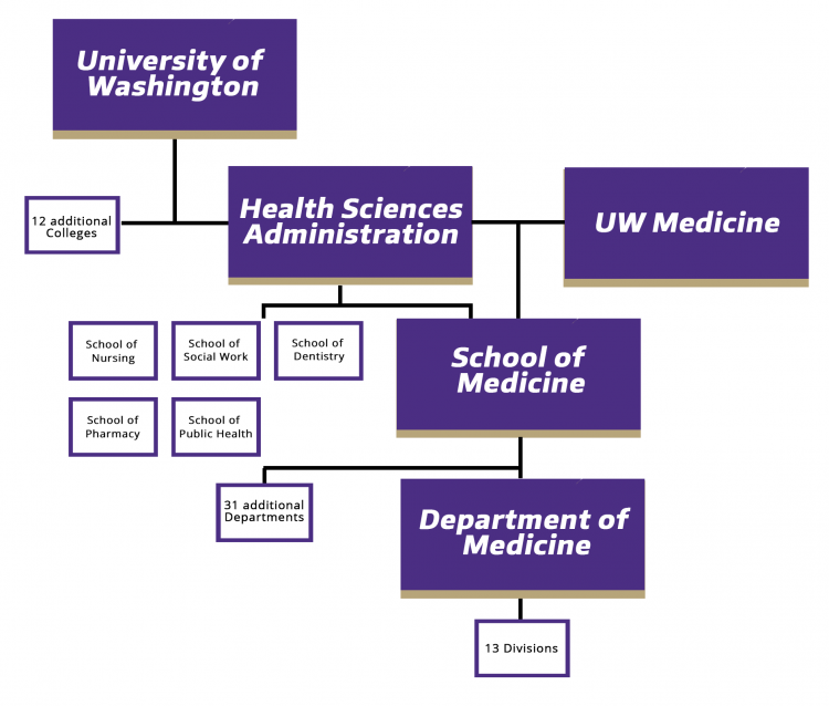 About Us Department of Medicine